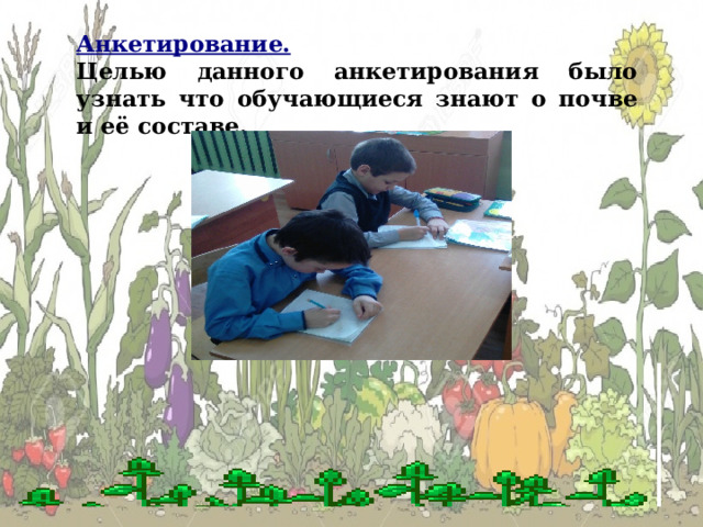 Анкетирование.  Целью данного анкетирования было узнать что обучающиеся знают о почве и её составе. 