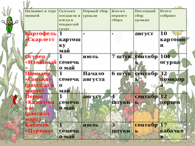 Название и сорт овощей Картофель «Скарлетт» Сколько посадили и когда в открытый грунт Первый сбор урожая 1 картошку Огурец «Изящный» 1 семечко май Кол-во первого сбора май - Помидор «Санька» Перец «Капитошка» (рассада март) 1 семечко июль (рассада в марте) Последний сбор урожая - 1 семечко май 7 штук август май Начало августа Кабачок «Цукеша» Всего собрано сентябрь 1 семечко май 6 штук август 10 картошин 4 штуки сентябрь июль 104 огурца сентябрь 3 штуки 32 помидора сентябрь 12 перцев 17 кабачков 