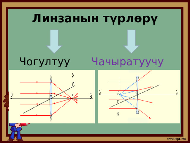 Линзанын түрлөрү Чогултуу Чачыратуучу 
