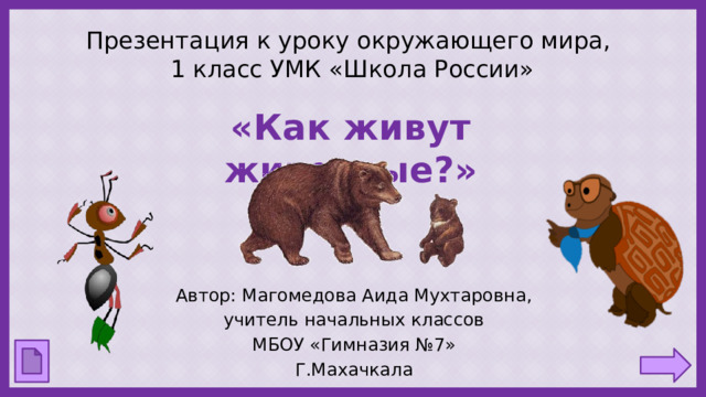 Презентация к уроку окружающего мира,  1 класс УМК «Школа России» «Как живут животные?» Автор: Магомедова Аида Мухтаровна, учитель начальных классов МБОУ «Гимназия №7» Г.Махачкала 