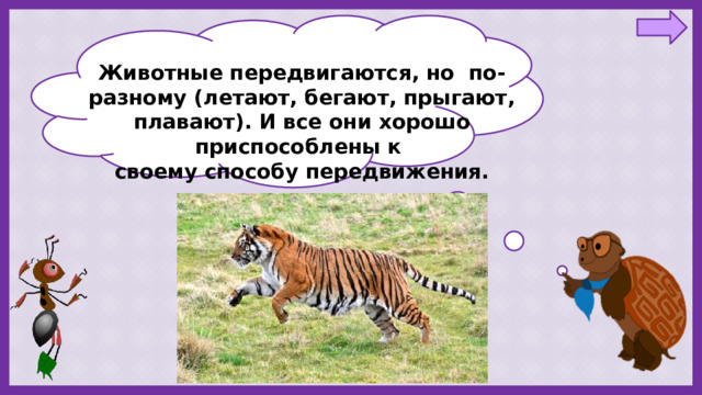 Животные передвигаются, но  по-разному (летают, бегают, прыгают, плавают). И все они хорошо приспособлены к  своему способу передвижения. 