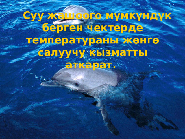  Суу жашоого мүмкүндүк берген чектерде температураны жөнгө салуучу кызматты аткарат.   