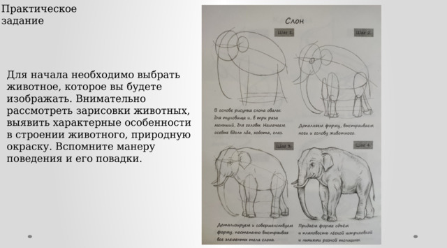 Практическое задание Для начала необходимо выбрать животное, которое вы будете изображать. Внимательно рассмотреть зарисовки животных, выявить характерные особенности в строении животного, природную окраску. Вспомните манеру поведения и его повадки. 