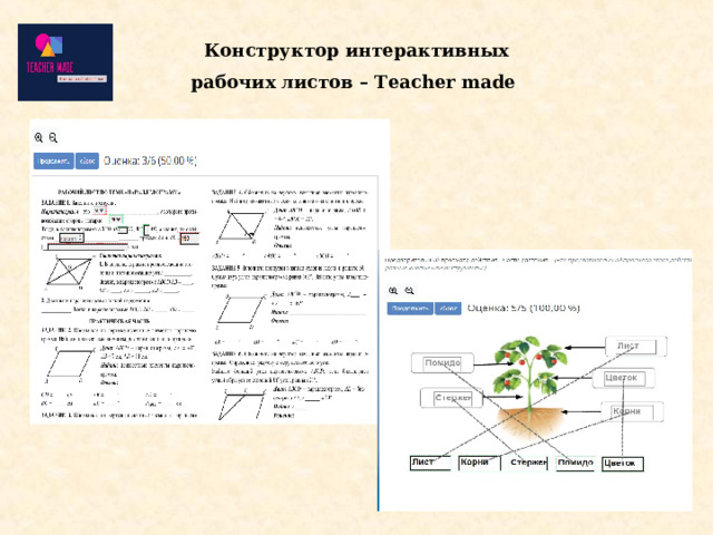 Конструктор интерактивных рабочих листов – Teacher made 