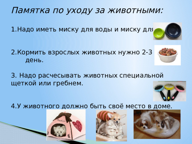 Памятка по уходу за животными: 1.Надо иметь миску для воды и миску для еды. 2.Кормить взрослых животных нужно 2-3 раза в день. 3. Надо расчесывать животных специальной щеткой или гребнем. 4.У животного должно быть своё место в доме. 