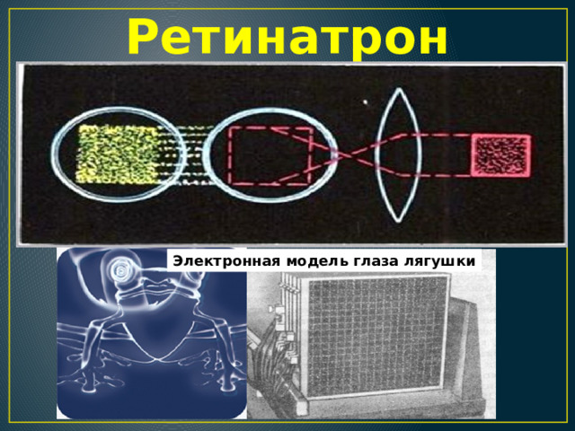 Ретинатрон Электронная модель глаза лягушки 
