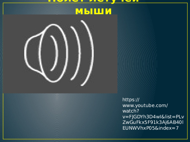   Полет летучей мыши https://www.youtube.com/watch?v=FJGDYh3D4wI&list=PLvZwGuFkx5F91k3Aj6AB40lEUNWVhxP05&index=7 