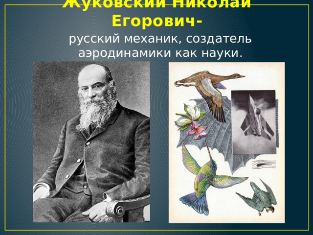 Жуковский Николай Егорович- русский механик, создатель аэродинамики как науки. 