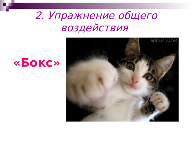 2. Упражнение общего воздействия  «Бокс» 