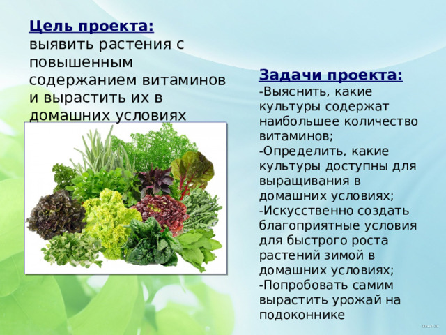 Цель проекта: выявить растения с повышенным содержанием витаминов и вырастить их в домашних условиях Задачи проекта: -Выяснить, какие культуры содержат наибольшее количество витаминов; -Определить, какие культуры доступны для выращивания в домашних условиях; -Искусственно создать благоприятные условия для быстрого роста растений зимой в домашних условиях; -Попробовать самим вырастить урожай на подоконнике 