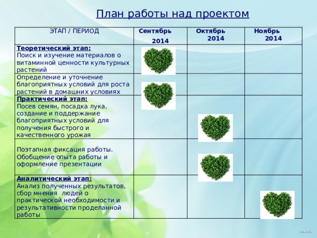 План работы над проектом ЭТАП / ПЕРИОД Сентябрь Теоретический этап: 2014 Поиск и изучение материалов о витаминной ценности культурных растений Определение и уточнение благоприятных условий для роста растений в домашних условиях Октябрь 2014 Ноябрь 2014 Практический этап: Посев семян, посадка лука, создание и поддержание благоприятных условий для получения быстрого и качественного урожая Аналитический этап: Поэтапная фиксация работы. Обобщение опыта работы и оформление презентации Анализ полученных результатов, сбор мнения людей о практической необходимости и результативности проделанной работы 