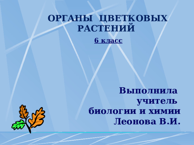 ОРГАНЫ ЦВЕТКОВЫХ РАСТЕНИЙ      Выполнила учитель биологии и химии Леонова В.И. 6 класс  