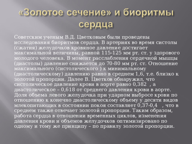 Советским ученым В.Д. Цветковым были проведены исследования биоритмов сердца. В артериях во время систолы (сжатия) желудочков кровяное давление достигает максимальной величины, равной 115-125 мм рт. ст. у здорового молодого человека. В момент расслабления сердечной мышцы (диастолы) давление снижается до 70-80 мм рт. ст. Отношение максимального (систолического ) к минимальному (диастолическому) давлению равно в среднем 1,6, т.е. близко к золотой пропорции. Далее В. Цветков обнаружил, что систолическое давление крови в аорте равно 0,382 , а диастолическое – 0,618 от среднего давления крови в аорте. Доля объема левого желудочка при ударном выбросе крови по отношению к конечно диастолическому объему у десяти видов млекопитающих в состоянии покоя составляет 0,37-0,4 , что в среднем также отвечает золотой пропорции. Таким образом, работа сердца в отношении временных циклов, изменения давления крови и объемов желудочков оптимизировано по одному и тому же принципу – по правилу золотой пропорции. 