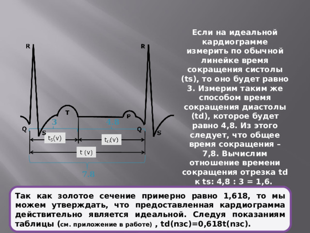 Если на идеальной кардиограмме измерить по обычной линейке время сокращения систолы ( ts ), то оно будет равно 3. Измерим таким же способом время сокращения диастолы ( td ), которое будет равно 4,8. Из этого следует, что общее время сокращения – 7,8. Вычислим отношение времени сокращения отрезка td к ts : 4,8 : 3 = 1,6. 3 4.8 7.8 Так как золотое сечение примерно равно 1,618, то мы можем утверждать, что предоставленная кардиограмма действительно является идеальной. Следуя показаниям таблицы ( см. приложение в работе) , td( n зс)=0,618t( n зс).  