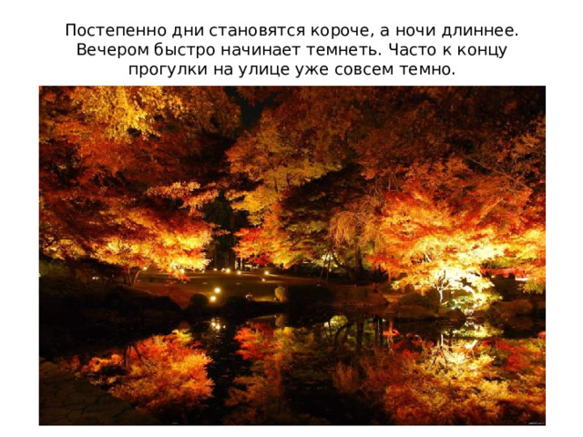 Постепенно дни становятся короче, а ночи длиннее. Вечером быстро начинает темнеть. Часто к концу прогулки на улице уже совсем темно. 