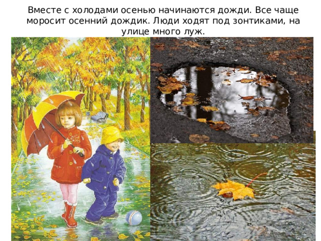 Вместе с холодами осенью начинаются дожди. Все чаще моросит осенний дождик. Люди ходят под зонтиками, на улице много луж. 