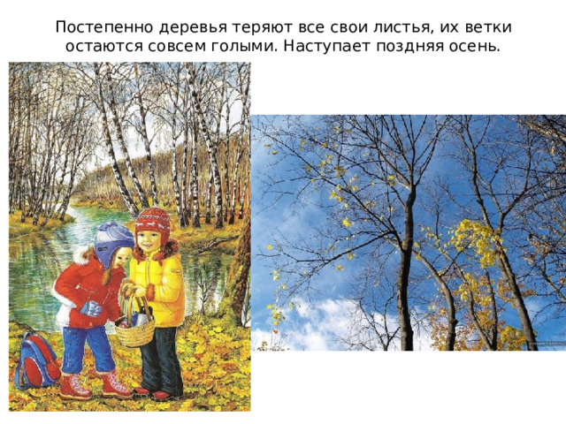Постепенно деревья теряют все свои листья, их ветки остаются совсем голыми. Наступает поздняя осень. 