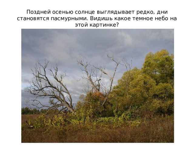 Поздней осенью солнце выглядывает редко, дни становятся пасмурными. Видишь какое темное небо на этой картинке? 