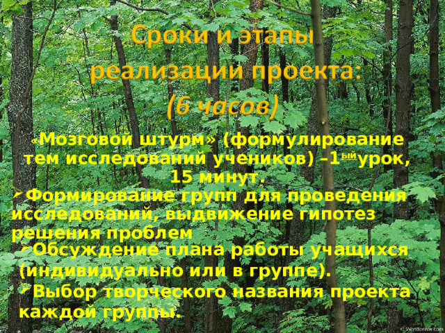 « Мозговой штурм» (формулирование тем исследований учеников) –1 ый урок, 15 минут. Формирование групп для проведения исследований, выдвижение гипотез решения проблем Обсуждение плана работы учащихся (индивидуально или в группе). Выбор творческого названия проекта каждой группы. 