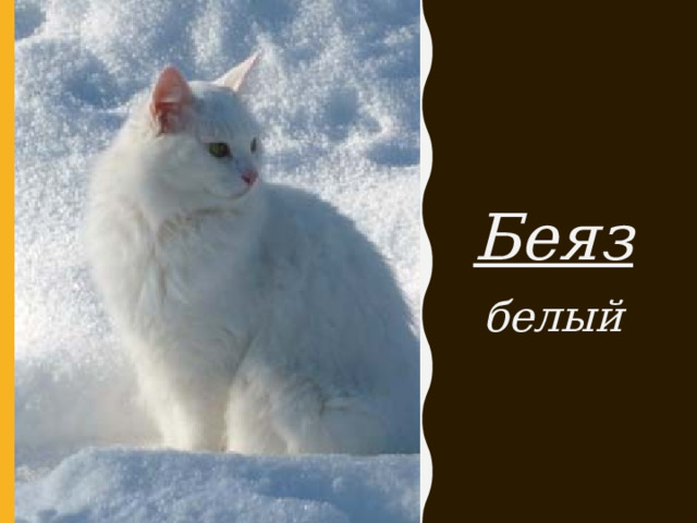 Беяз белый 