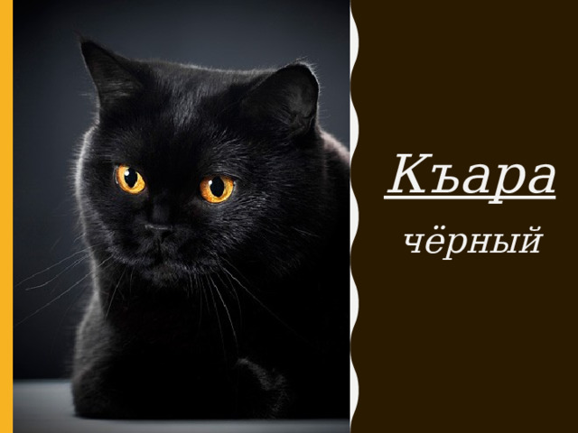 Къара чёрный 