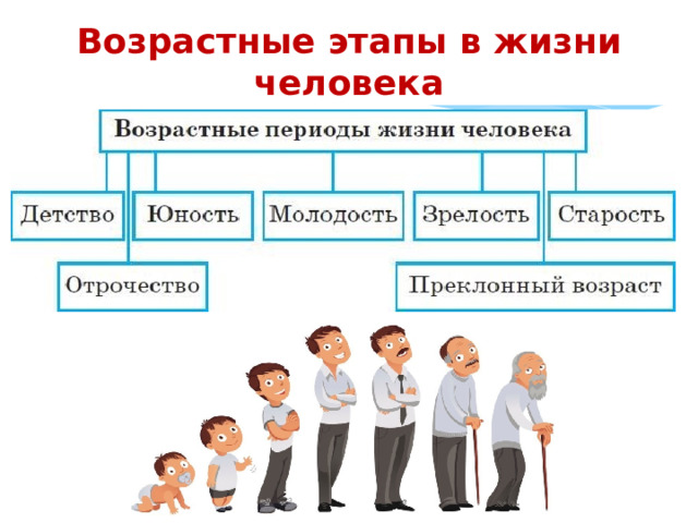 Возрастные этапы в жизни человека 