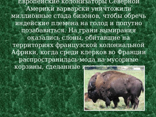 Европейские колонизаторы Северной Америки варварски уничтожили миллионные стада бизонов, чтобы обречь индейские племена на голод и попутно позабавиться. На грани вымирания оказались слоны, обитавшие на территориях французской колониальной Африки, когда среди клерков во Франции распространилась мода на мусорные корзины, сделанные из слоновьих ног… 