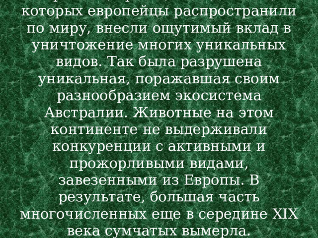 Кролики, крысы, коты, свиньи, которых европейцы распространили по миру, внесли ощутимый вклад в уничтожение многих уникальных видов. Так была разрушена уникальная, поражавшая своим разнообразием экосистема Австралии. Животные на этом континенте не выдерживали конкуренции с активными и прожорливыми видами, завезенными из Европы. В результате, большая часть многочисленных еще в середине XIX века сумчатых вымерла.   