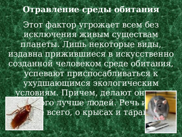Отравление среды обитания   Этот фактор угрожает всем без исключения живым существам планеты. Лишь некоторые виды, издавна прижившиеся в искусственно созданной человеком среде обитания, успевают приспосабливаться к ухудшающимся экологическим условиям. Причем, делают они это намного лучше людей. Речь идет, прежде всего, о крысах и тараканах. 