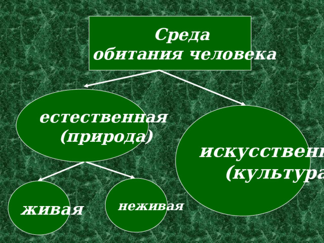 Среда обитания человека естественная (природа) искусственная (культура) неживая живая 