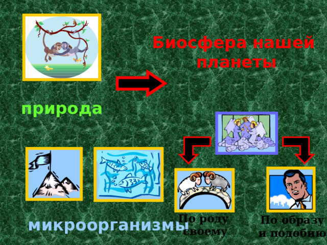 Биосфера нашей планеты природа По роду  своему По образу и подобию микроорганизмы 