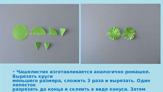 •  Чашелистик изготавливается аналогично ромашке. Вырезать круги меньшего размера, сложить 3 раза и вырезать. Один лепесток разрезать до конца и склеить в виде конуса. Затем приклеиваем к подготовленному цветоложе. 