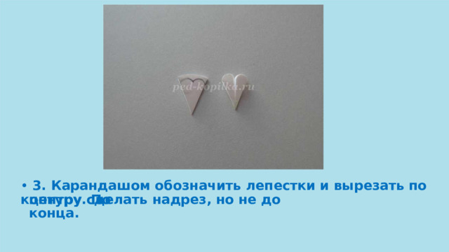•  3. Карандашом обозначить лепестки и вырезать по контуру. По центру сделать надрез, но не до конца. 