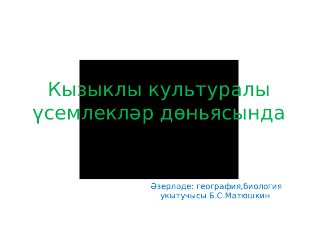 Кызыклы культуралы үсемлекләр дөньясында Әзерләде: география,биология укытучысы Б.С.Матюшкин 