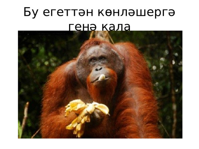 Бу егеттән көнләшергә генә кала  