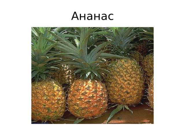 Ананас 