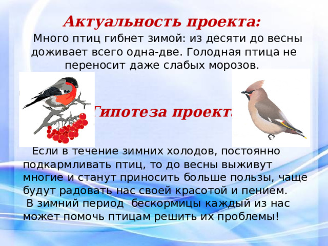 Актуальность проекта:   Много птиц гибнет зимой: из десяти до весны доживает всего одна-две. Голодная птица не переносит даже слабых морозов.     Гипотеза проекта:    Если в течение зимних холодов, постоянно подкармливать птиц, то до весны выживут многие и станут приносить больше пользы, чаще будут радовать нас своей красотой и пением.  В зимний период бескормицы каждый из нас может помочь птицам решить их проблемы! 