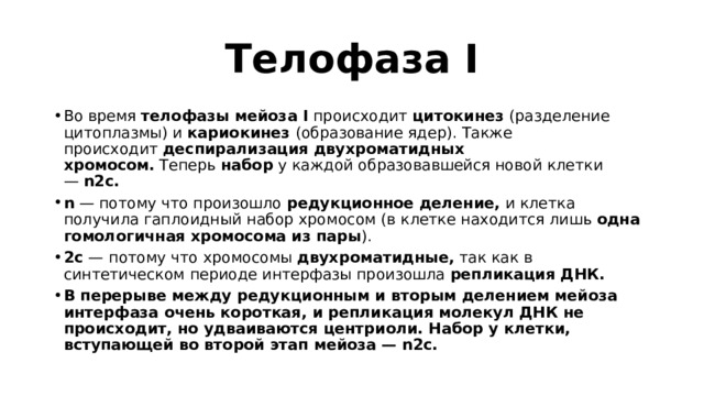 Телофаза I Во время  телофазы мейоза I  происходит  цитокинез  (разделение цитоплазмы) и  кариокинез  (образование ядер). Также происходит  деспирализация двухроматидных хромосом.  Теперь  набор  у каждой образовавшейся новой клетки —  n2c. n  — потому что произошло  редукционное деление,  и клетка получила гаплоидный набор хромосом (в клетке находится лишь  одна гомологичная хромосома из пары ). 2с  —   потому что хромосомы  двухроматидные,  так как в синтетическом периоде интерфазы произошла  репликация ДНК. В перерыве между редукционным и вторым делением мейоза интерфаза очень короткая, и репликация молекул ДНК не происходит, но удваиваются центриоли. Набор у клетки, вступающей во второй этап мейоза — n2c. 