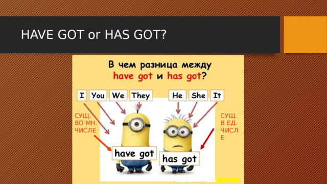 HAVE GOT or HAS GOT? СУЩ. ВО МН. ЧИСЛЕ СУЩ. В ЕД. ЧИСЛЕ 