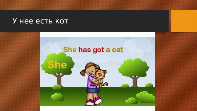 У нее есть кот 