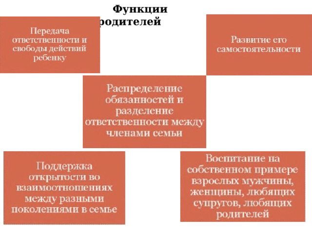  Функции родителей 