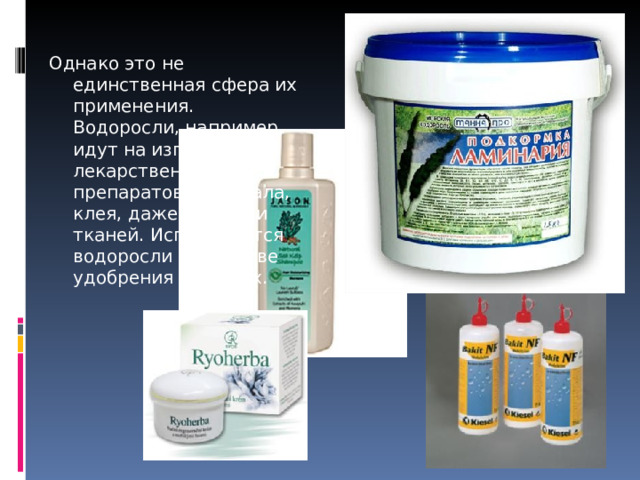 Однако это не единственная сфера их применения. Водоросли, например, идут на изготовления лекарственных препаратов, крахмала, клея, даже бумаги и тканей. Используются водоросли в качестве удобрения на полях. 