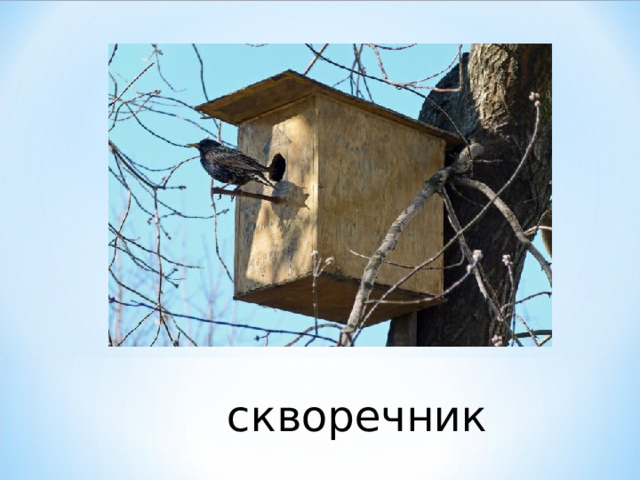 скворечник 