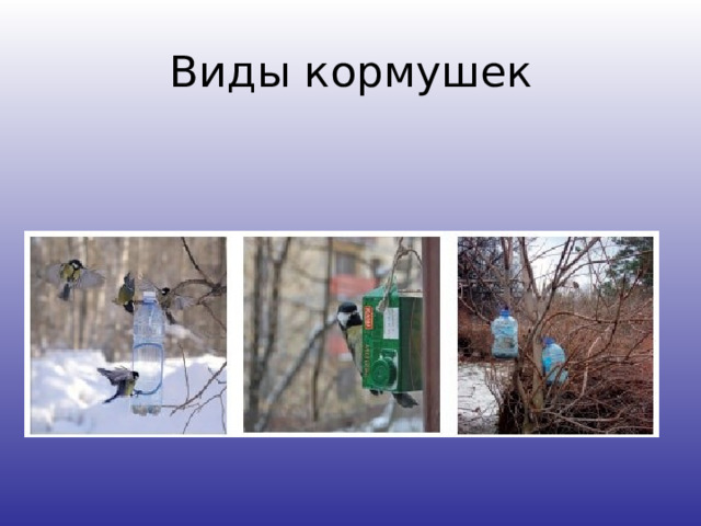 Виды кормушек 