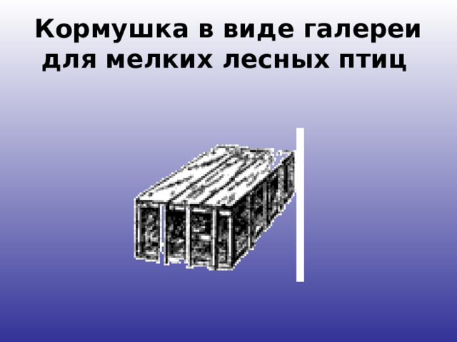Кормушка в виде галереи для мелких лесных птиц  