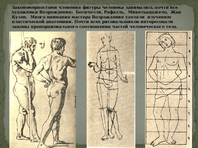Закономерностями членения фигуры человека занимались почти все художники Возрождения: Ботичелли, Рафаэль, Микельанджело, Жан Кузен. Много внимания мастера Возрождения уделяли изучению пластической анатомиии. Почти всех рисовальщиков интересовали законы пропорционального соотношения частей человеческого тела. 