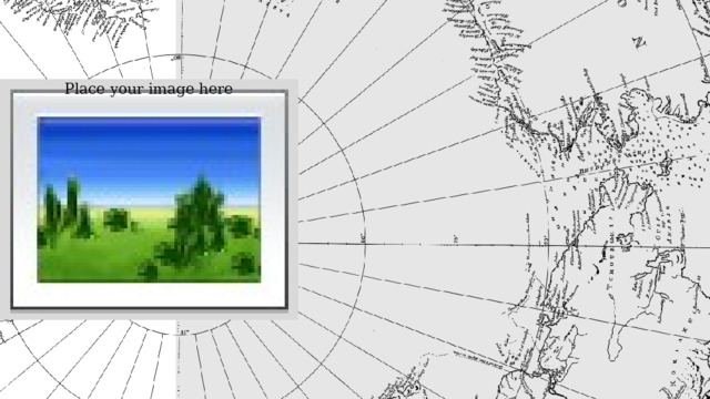 Place your image here 