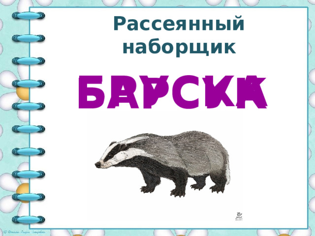 Рассеянный наборщик БРУСКА БАРСУК 
