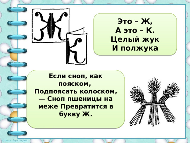 Это – Ж, А это – К. Целый жук И полжука Если сноп, как пояском, Подпоясать колоском, — Сноп пшеницы на меже Превратится в букву Ж.   