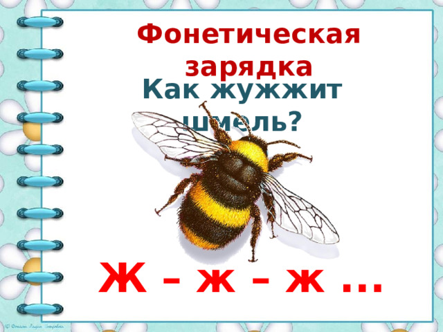 Фонетическая зарядка Как жужжит шмель? Ж – ж – ж ... 